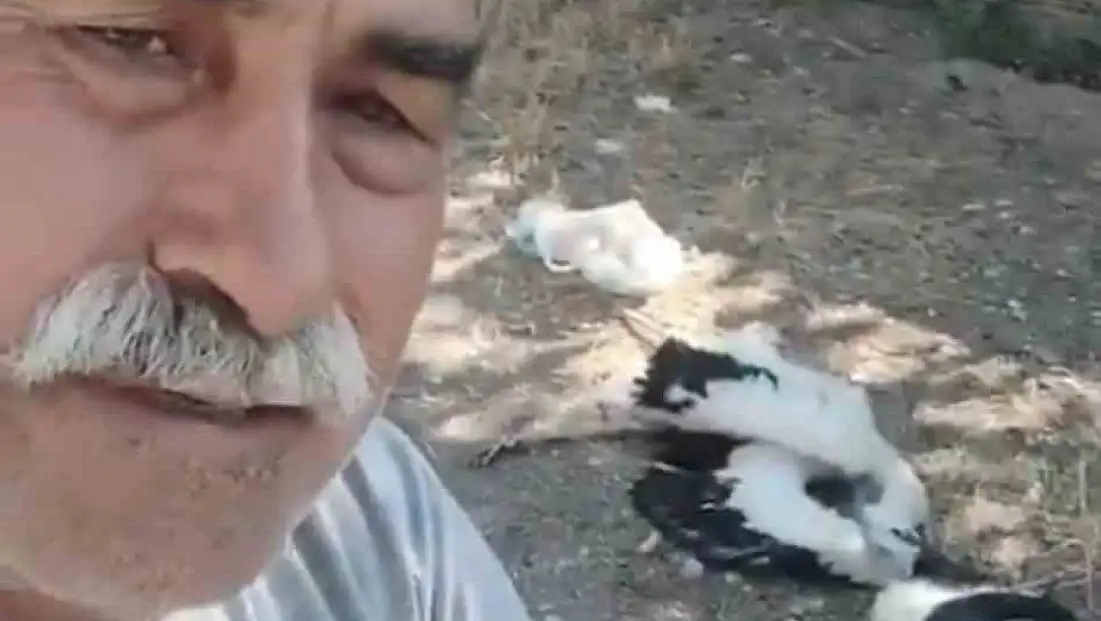Bahçesindeki leyleklerin öldüğünü görünce gözyaşlarına boğuldu