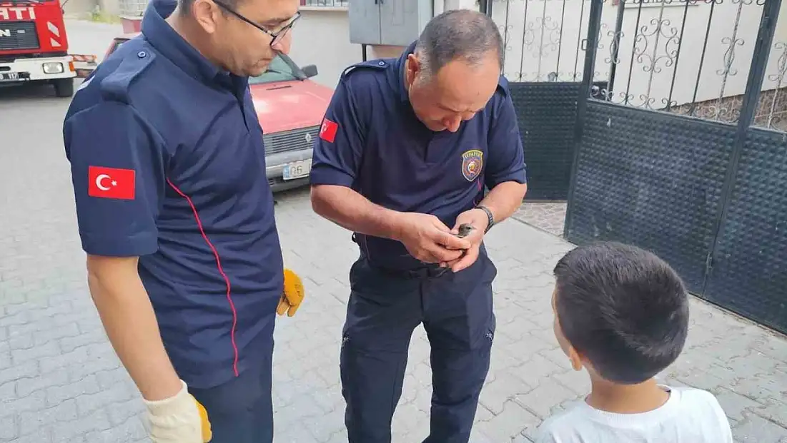 Çorum'da çatı kenarına sıkışan kuşu itfaiye kurtardı