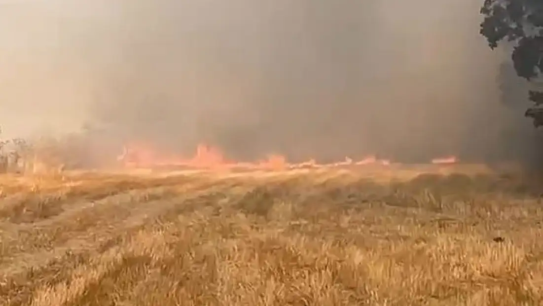 Eskipazar'da anız yangını korkuttu