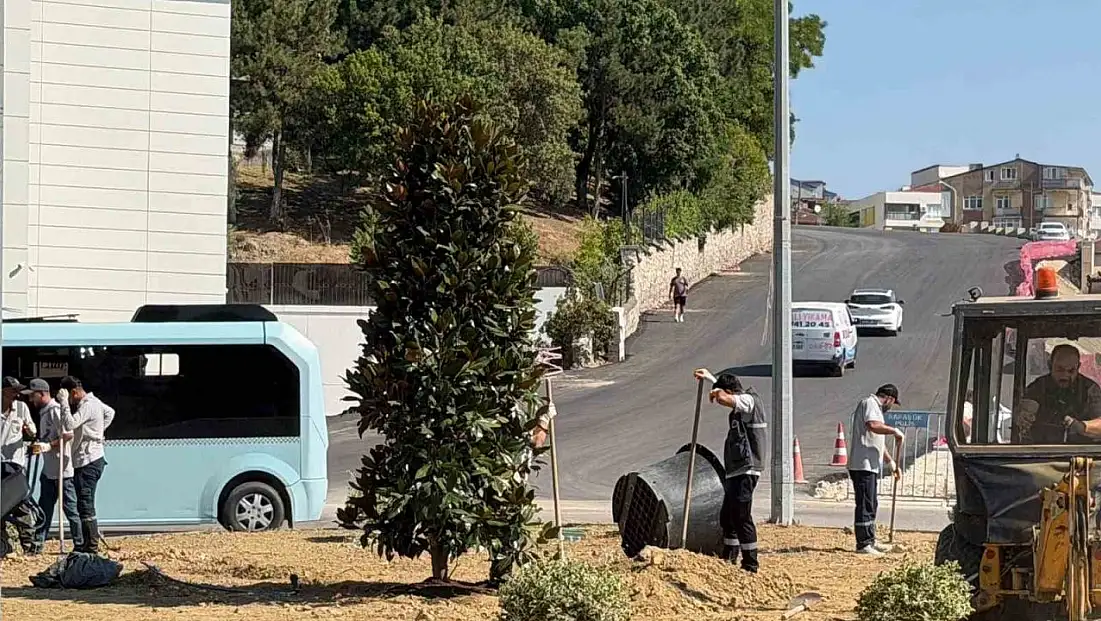 Karabük'te 200 ağaç ve süs bitkisi toprakla buluşuyor