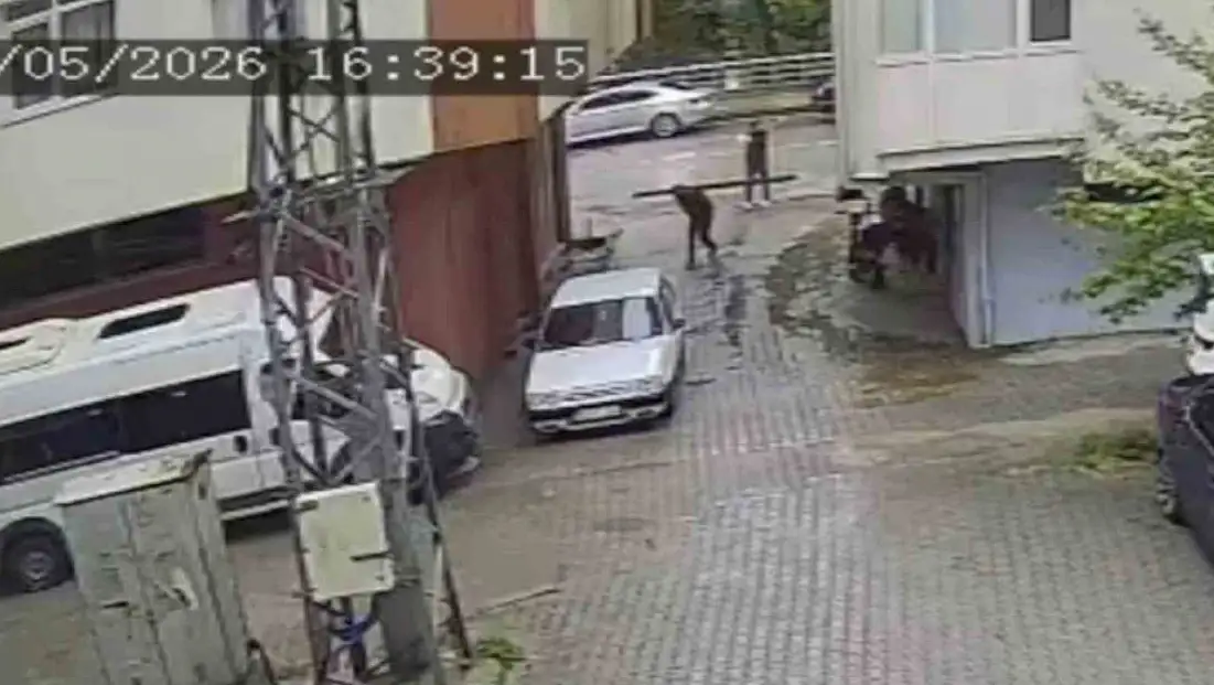 Kuzenini Sokak Ortasında Vurmuştu: O Anlar Güvenlik Kamerasında