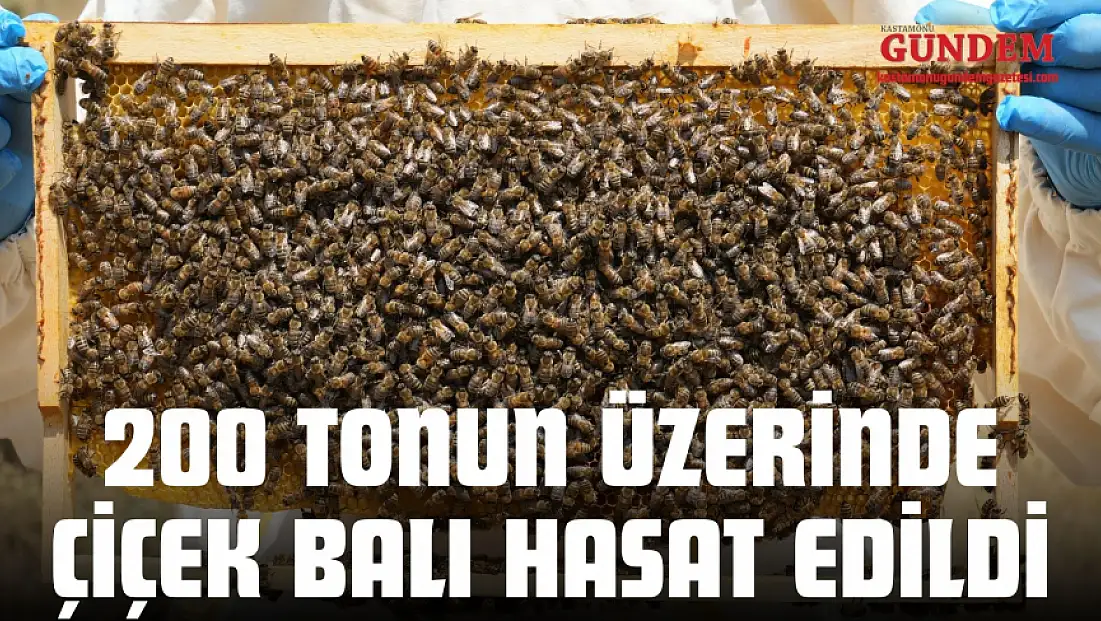 200 Tonun Üzerinde Çiçek Balı Hasat Edildi