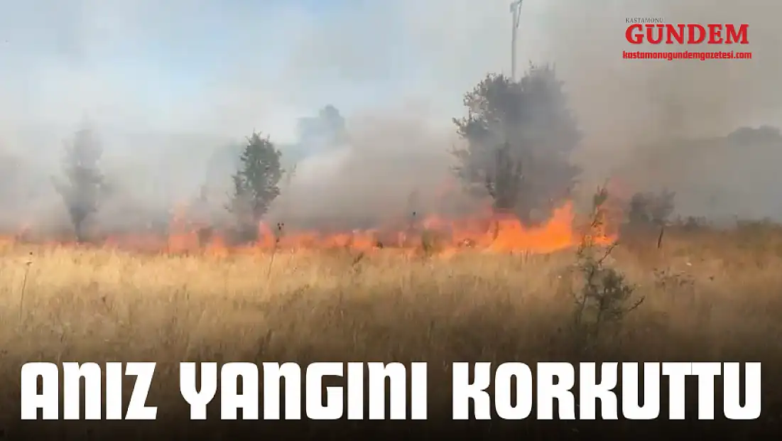 Anız Yangını Korkuttu