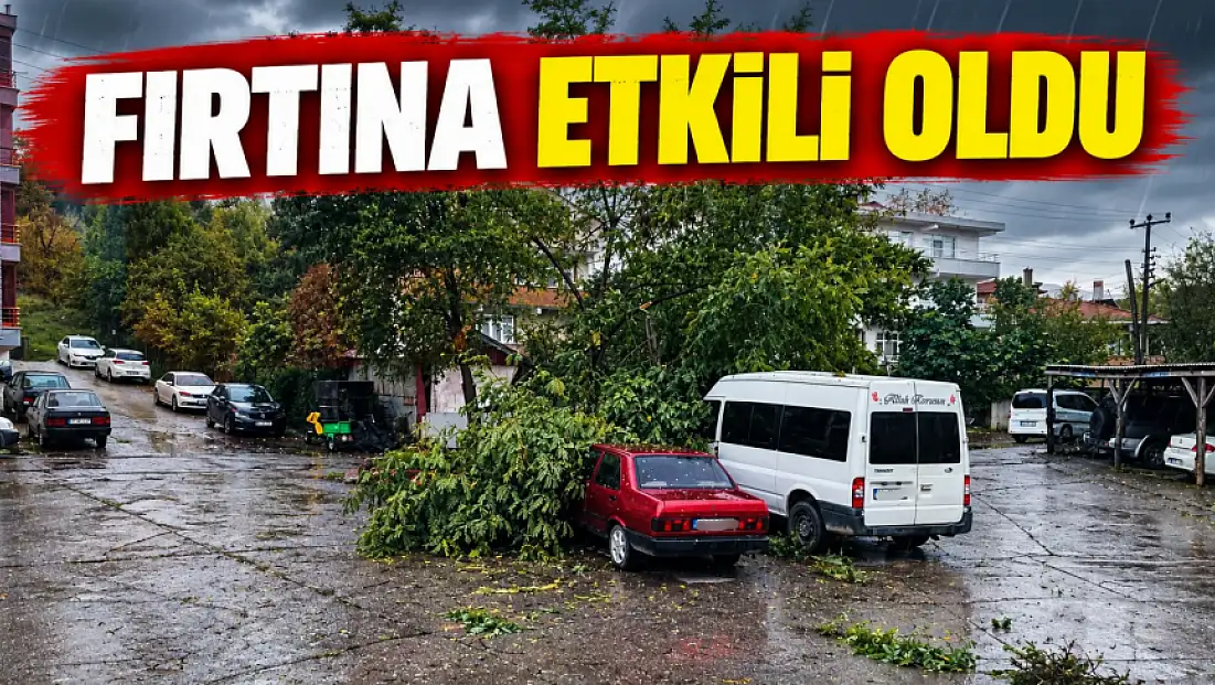 Fırtına Çatıları Uçurdu, Ağaçları Devirdi