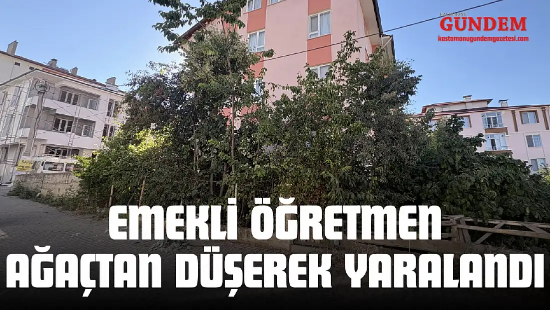 Ihlamur Ağacından Düşen Emekli Öğretmen Yaralandı
