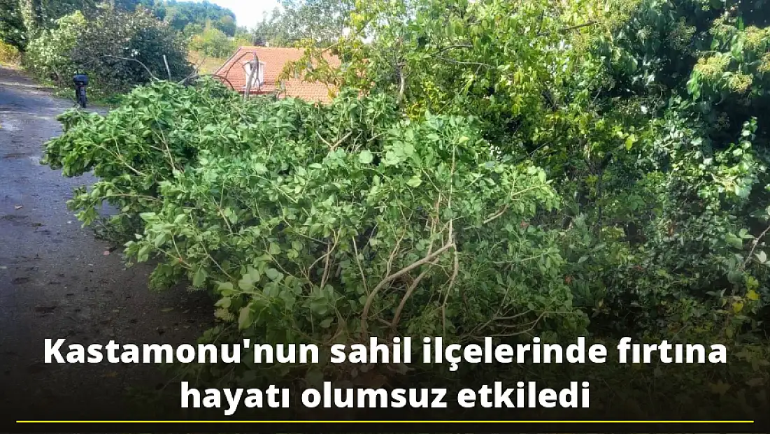 Dalgalar Sahilleri Dövdü