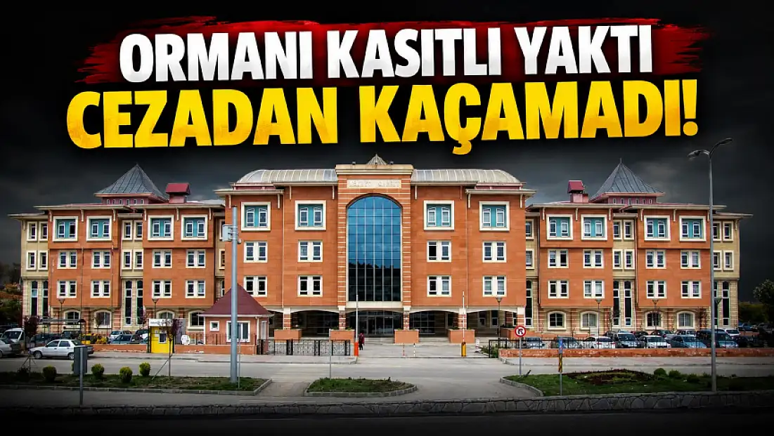 Ormanı Kasıtlı Yaktı, Cezadan Kaçamadı!