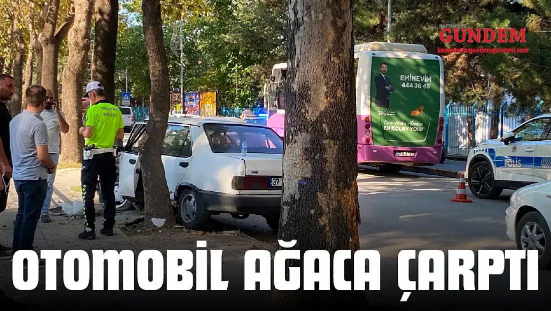 Otomobil Ağaca Çarptı