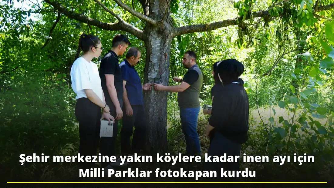 Şehir Merkezine Yakın Köylere Ayı İndi