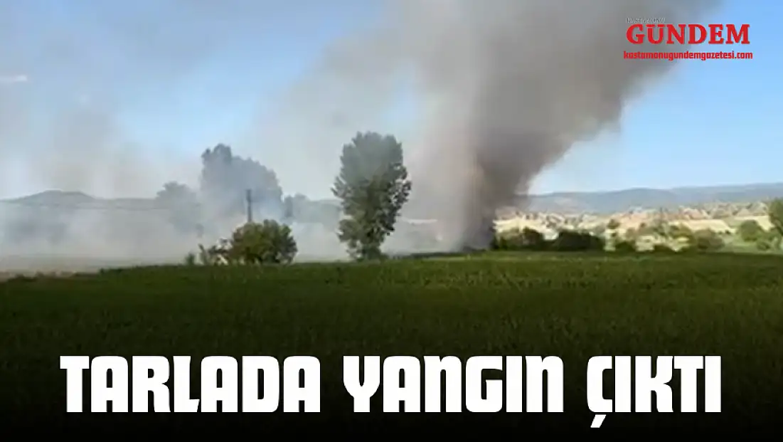Taşköprü’de Tarlada Yangın Çıktı!