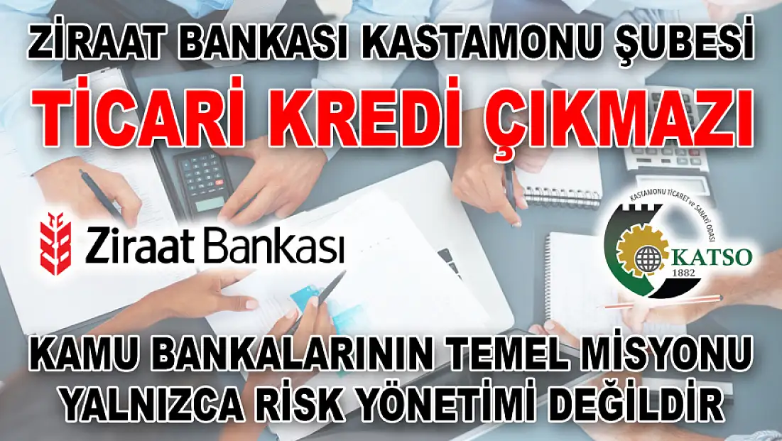 Ziraat Bankası Kastamonu Şubesi Ticari Kredi Çıkmazı Kamu Bankalarının Temel Misyonu Yalnızca Risk Yönetimi Değildir