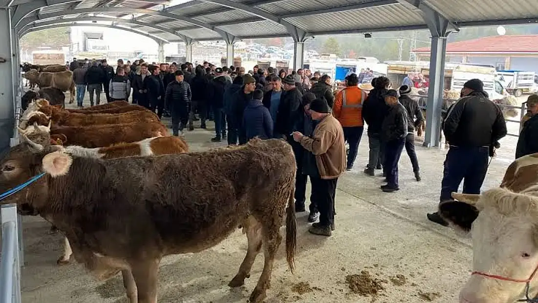 O İlçede Canlı Hayvan Pazarı Kapatıldı