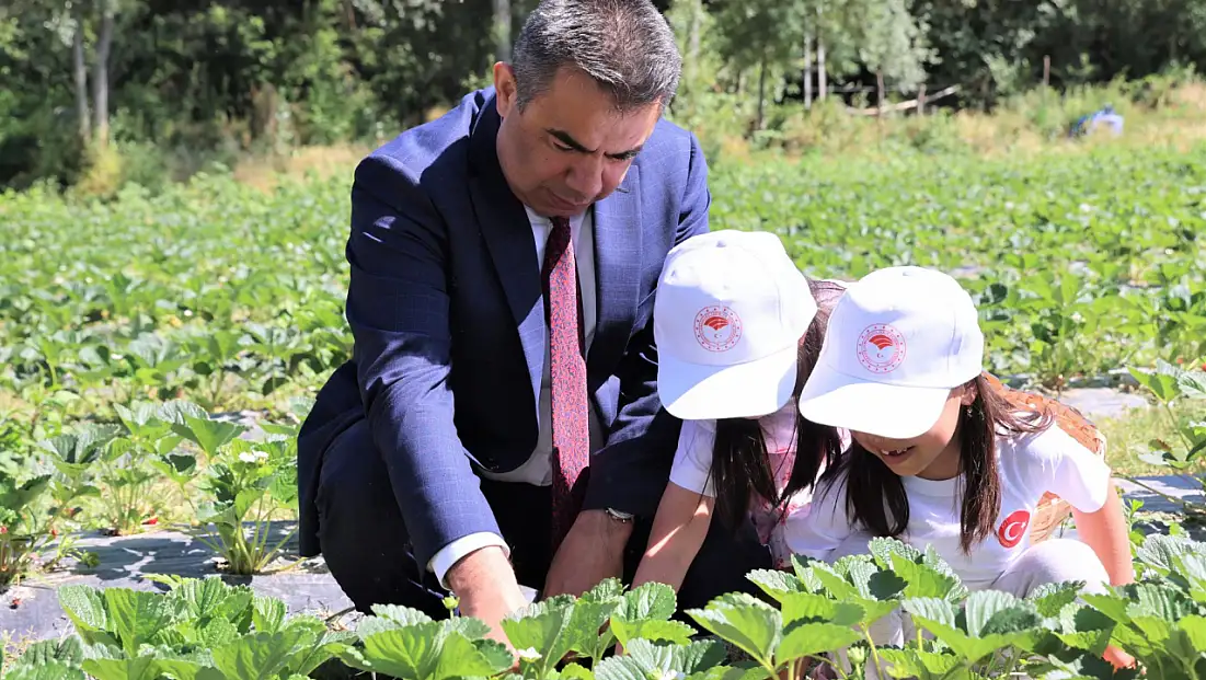 Öğrencilerle Çilek Toplama Etkinliği Gerçekleştirildi