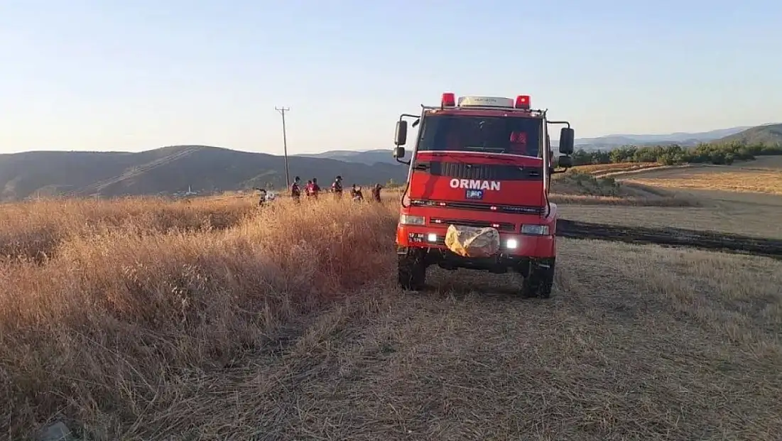 Sinop'ta anız yangını korkuttu