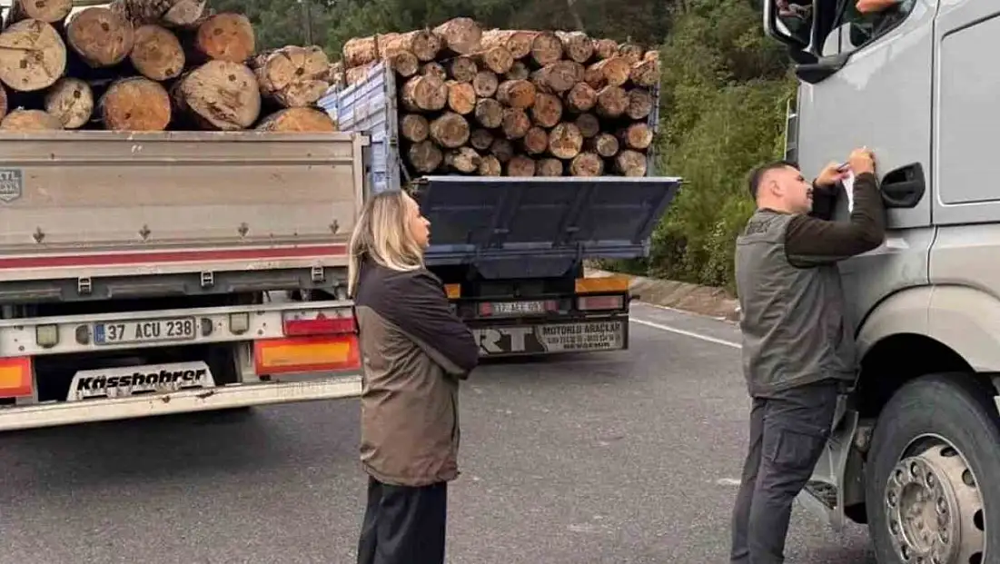 Sinop'ta orman ekipleri yasa dışı faaliyetlere karşı teyakkuzda