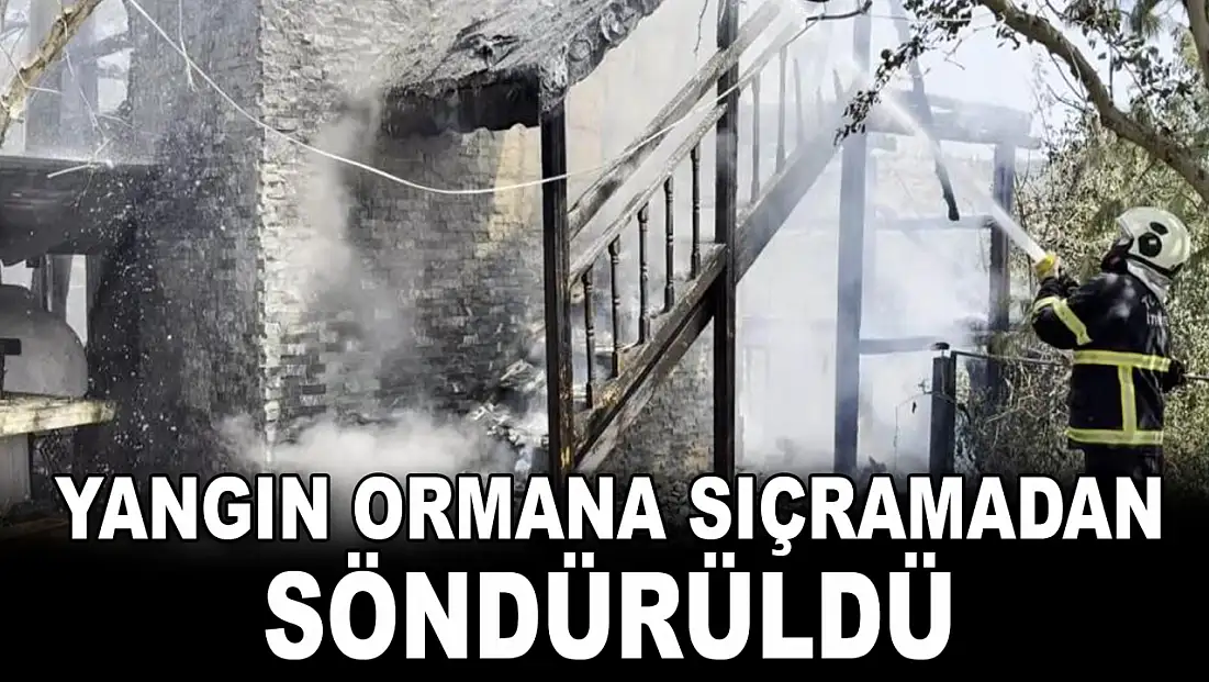 Yangın Ormana Sıçramadan Söndürüldü