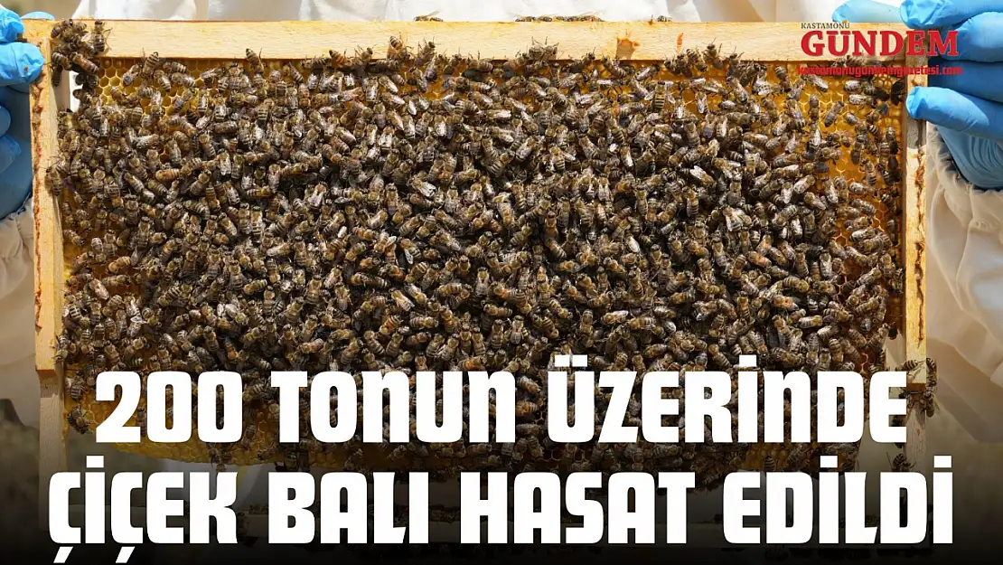 200 Tonun Üzerinde Çiçek Balı Hasat Edildi