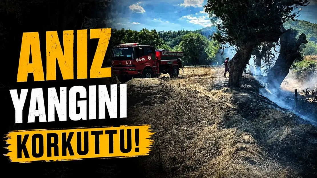 Anız Yangını Korkuttu!