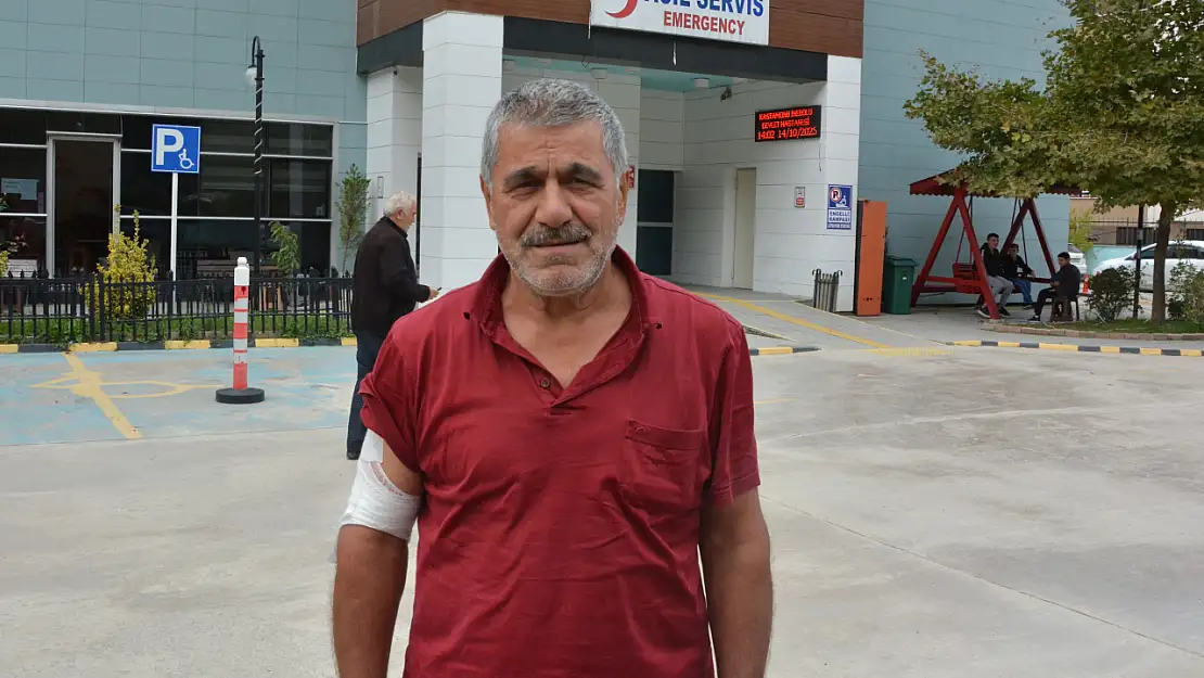 Ayıdan Kaçarken Düşen Çiftçi Yaralandı