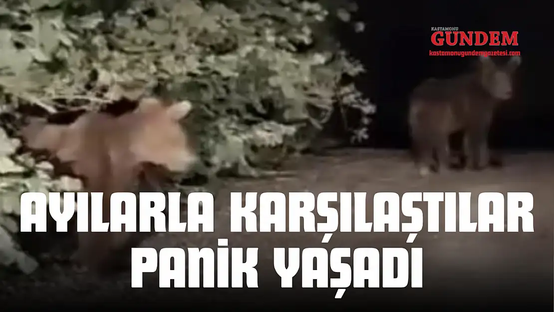 Ayılarla Karşılaşan Vatandaşlar Panik Yaşadı