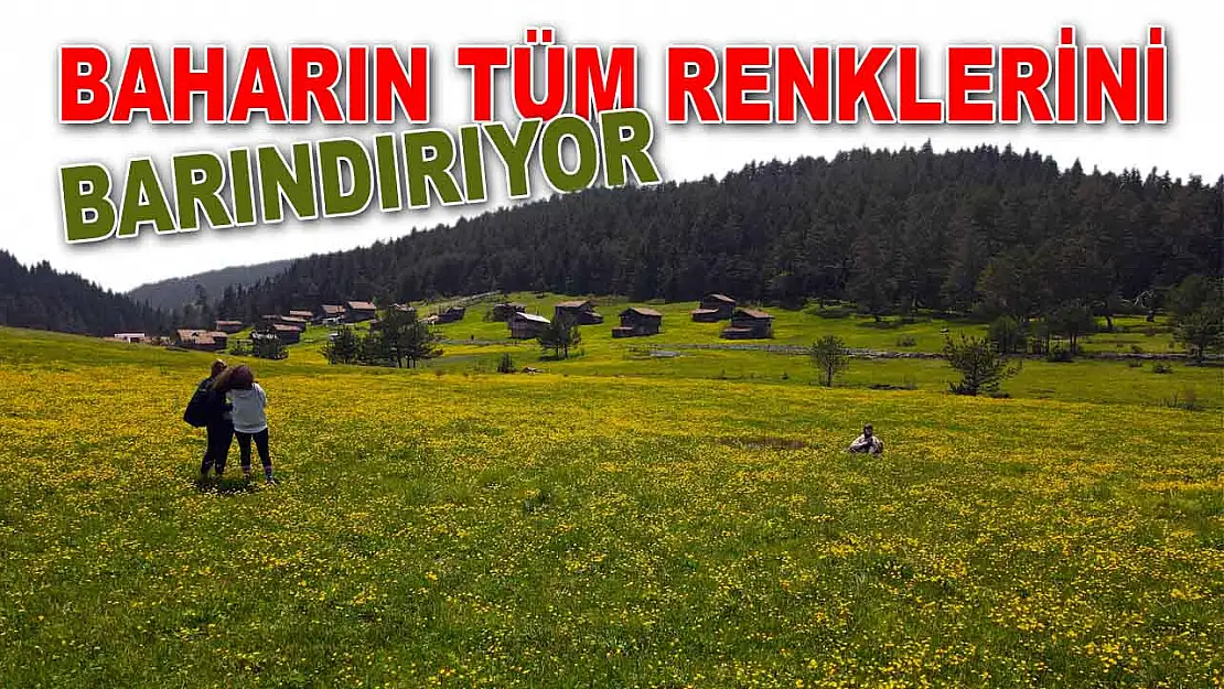 Baharın Tüm Renklerini Barındırıyor