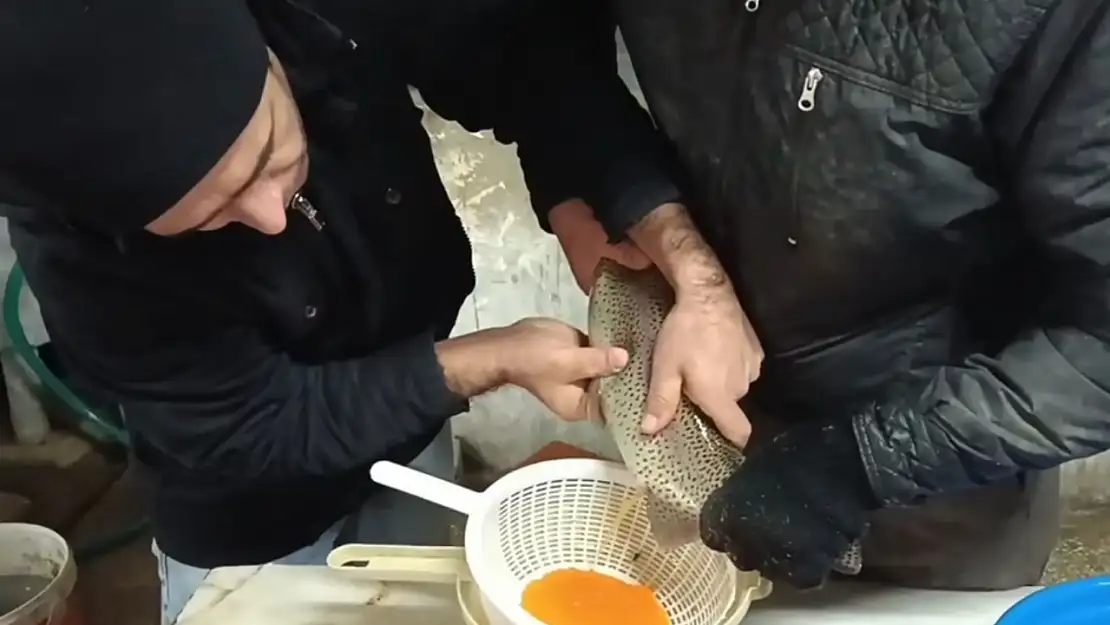 Balık Sağımını Kontrol Ettiler