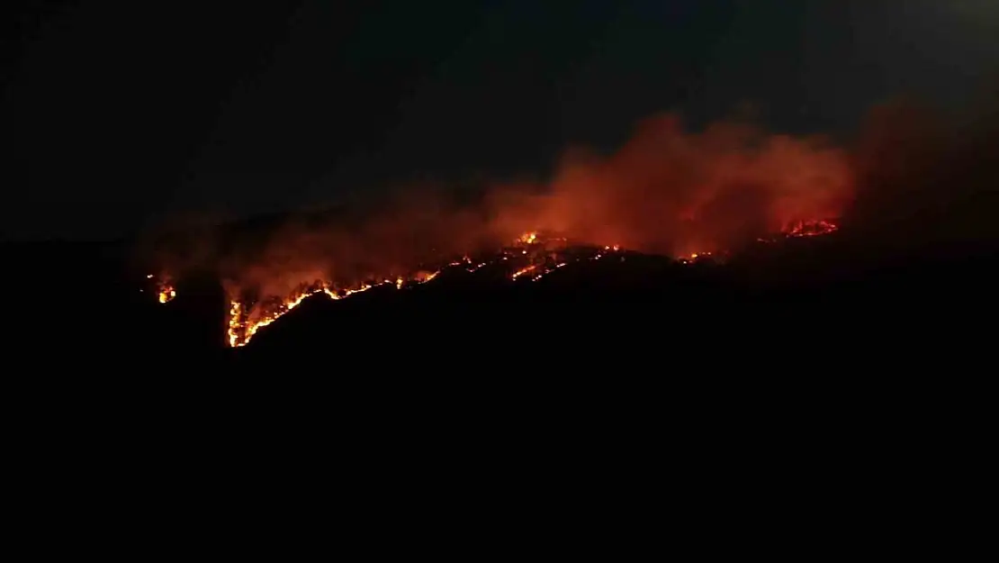Çankırı'daki Orman Yangını Havadan Görüntülendi