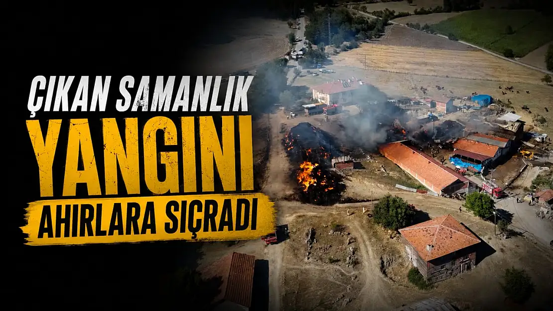 Çıkan Samanlık Yangını Ahırlara Sıçradı