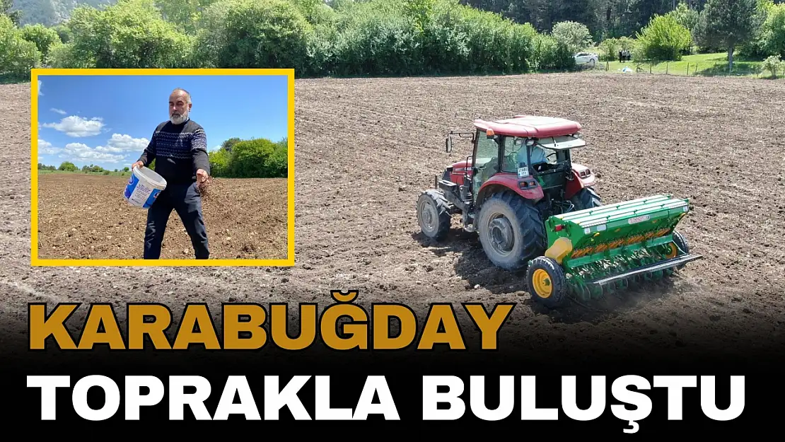 Denemek İçin Ektiler, Çölyak Hastalarının Talebine Yetişemiyorlar