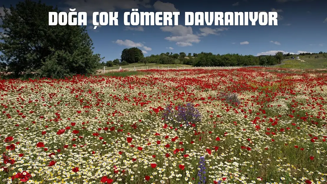 Doğa Çok Cömert Davranıyor