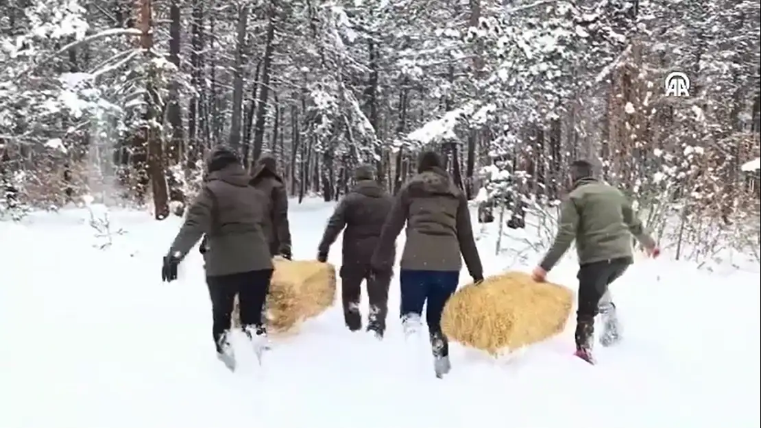 Doğaya Yem Bırakıldı