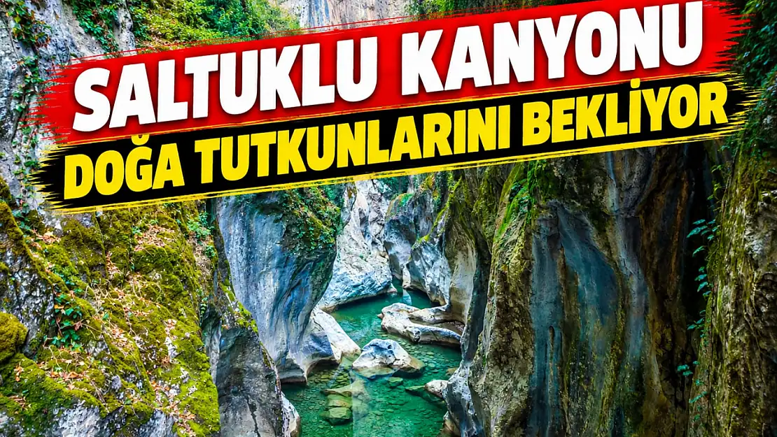 Güzelliğiyle Mest Ediyor
