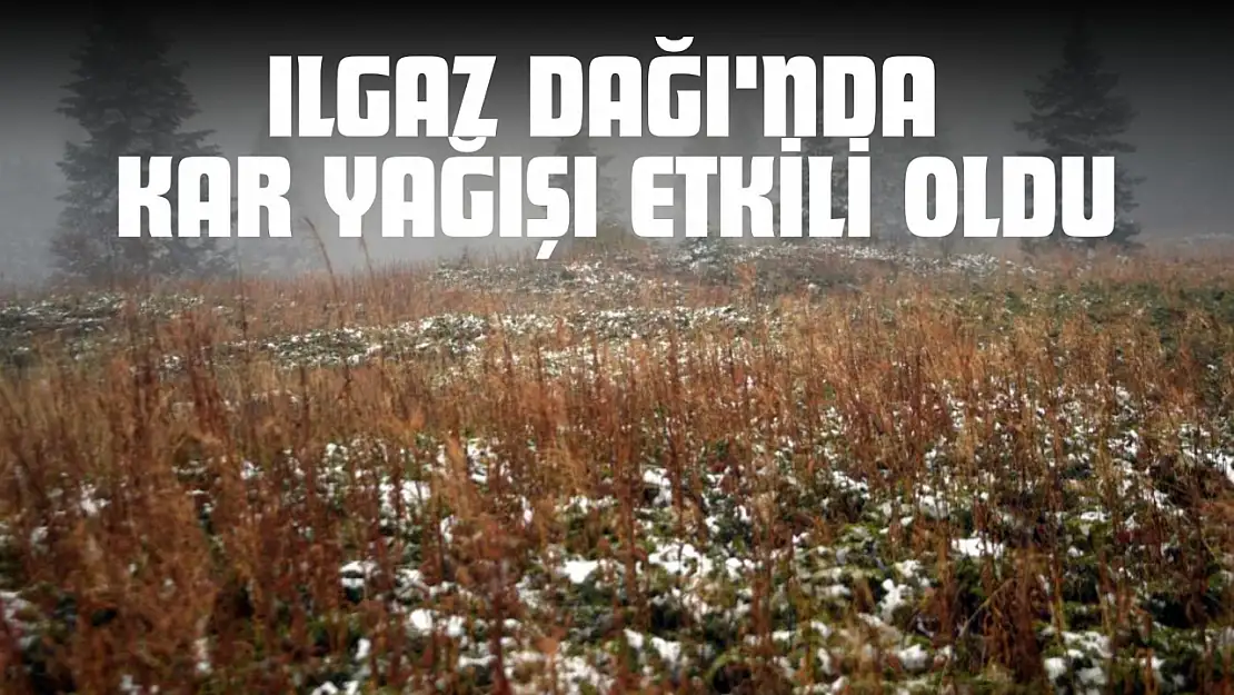 Ilgaz Dağı'nda Kar Yağışı Etkili Oldu