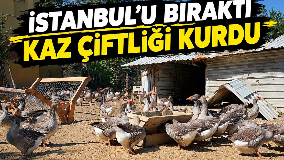 İstanbul'u Bıraktı, Kaz Çiftliği Kurdu!