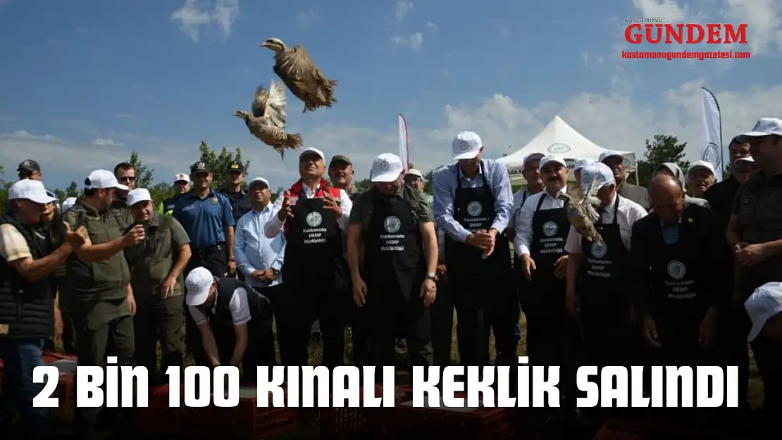 Kastamonu'da 2 Bin 100 Kınalı Keklik Salındı