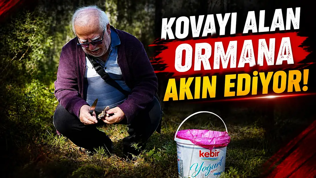 Kastamonu'da Kovayı Alan Ormana Akın Ediyor!