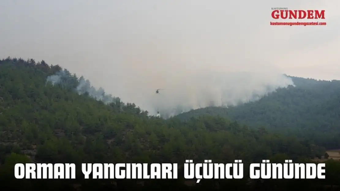 Kastamonu Orman Yangınları Üçüncü Gününde