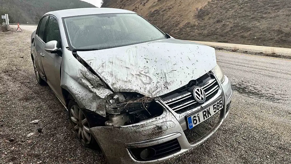 Kayak Merkezine Gitmek İçin Yola Çıkan Aile Kaza Yaptı