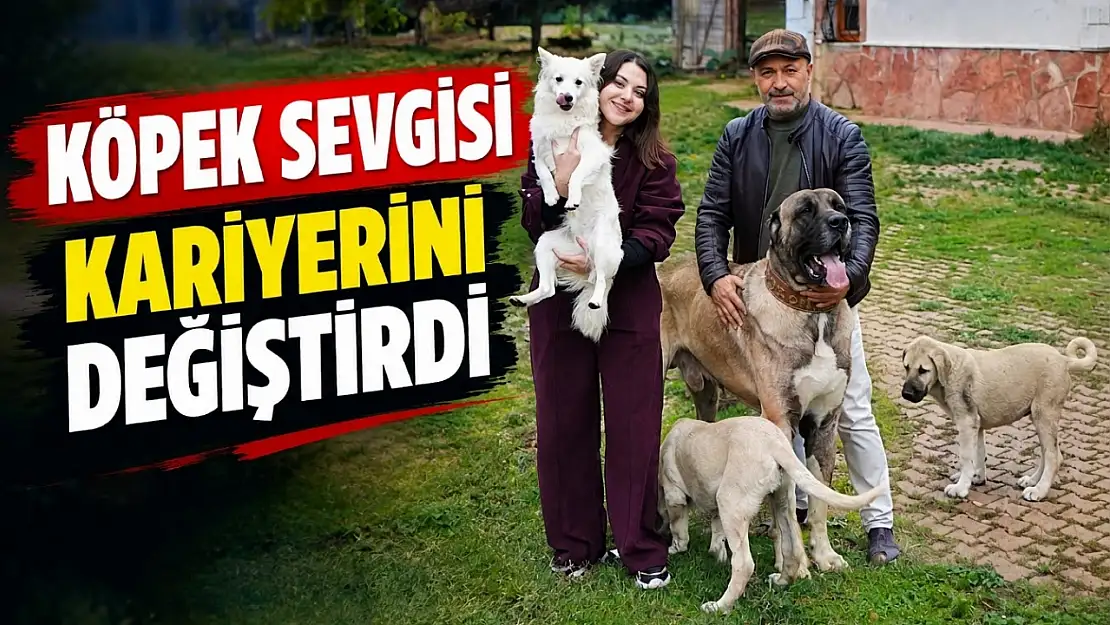 Köpek Sevgisi Kariyerini Değiştirdi