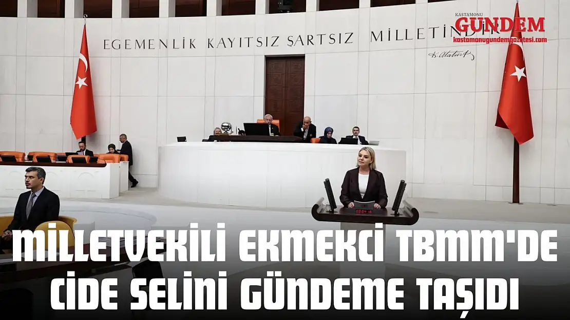 Milletvekili Ekmekci TBMM'de Cide Selini Gündeme Taşıdı