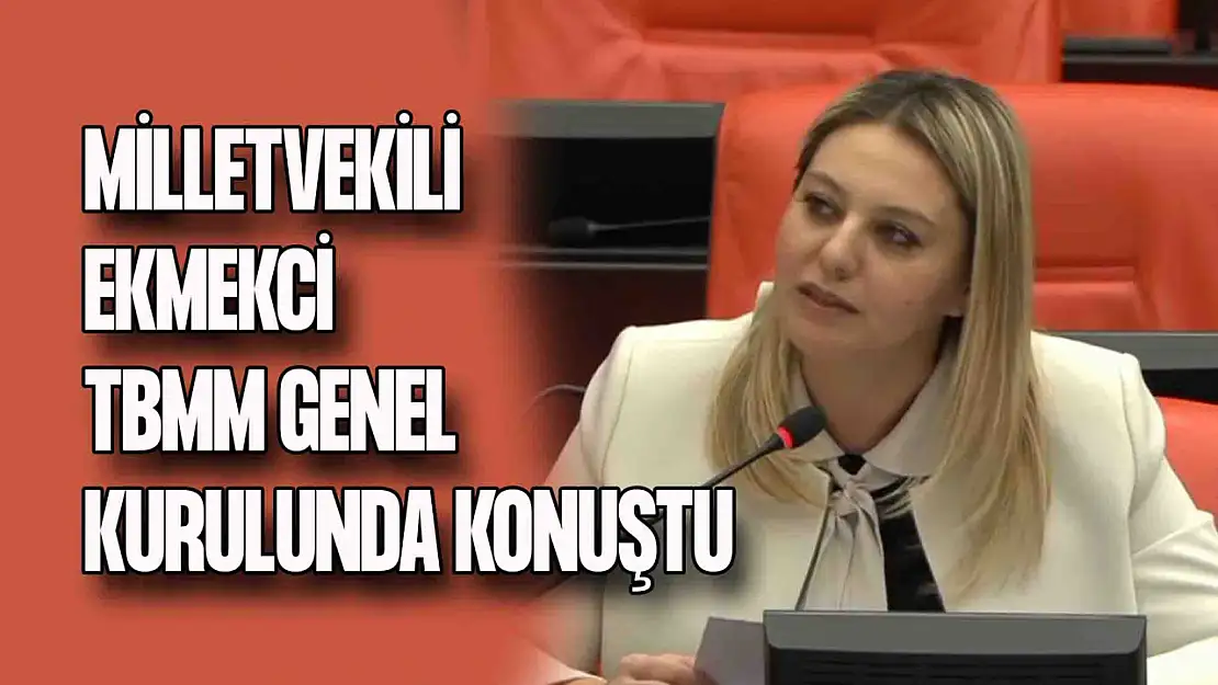 Milletvekili Serap Ekmekci TBMM Genel Kurulu'nda Konuştu