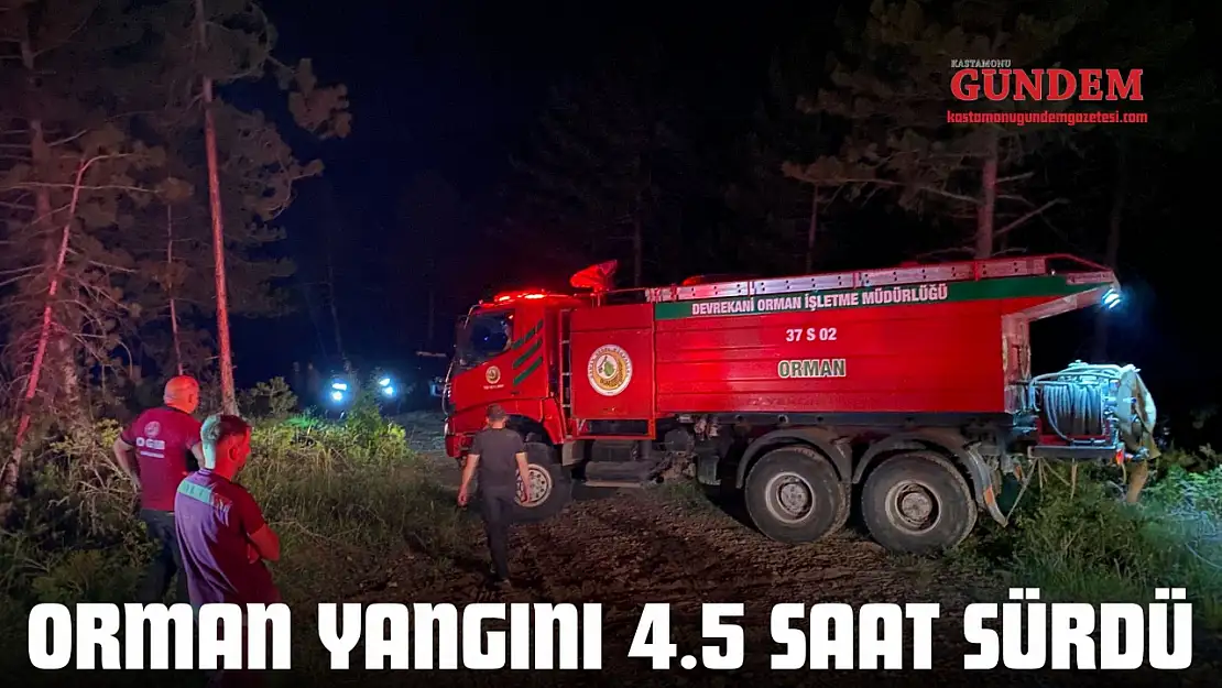 Orman Yangını 4.5 Saat Sürdü