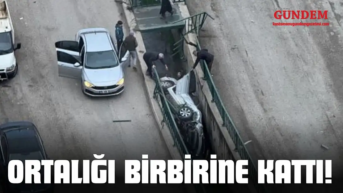 Ortalığı Birbirine Kattı!