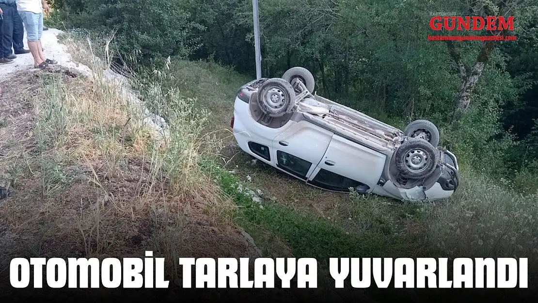 Otomobil Tarlaya Yuvarlandı