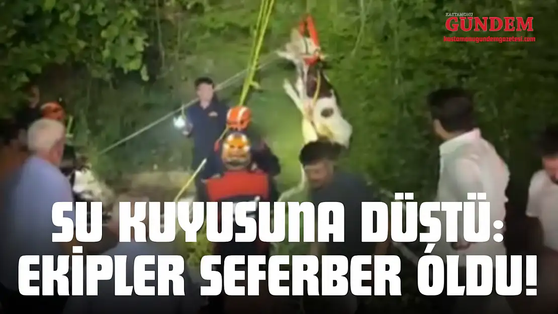 Su Kuyusuna Düştü: Ekipler Seferber Oldu!