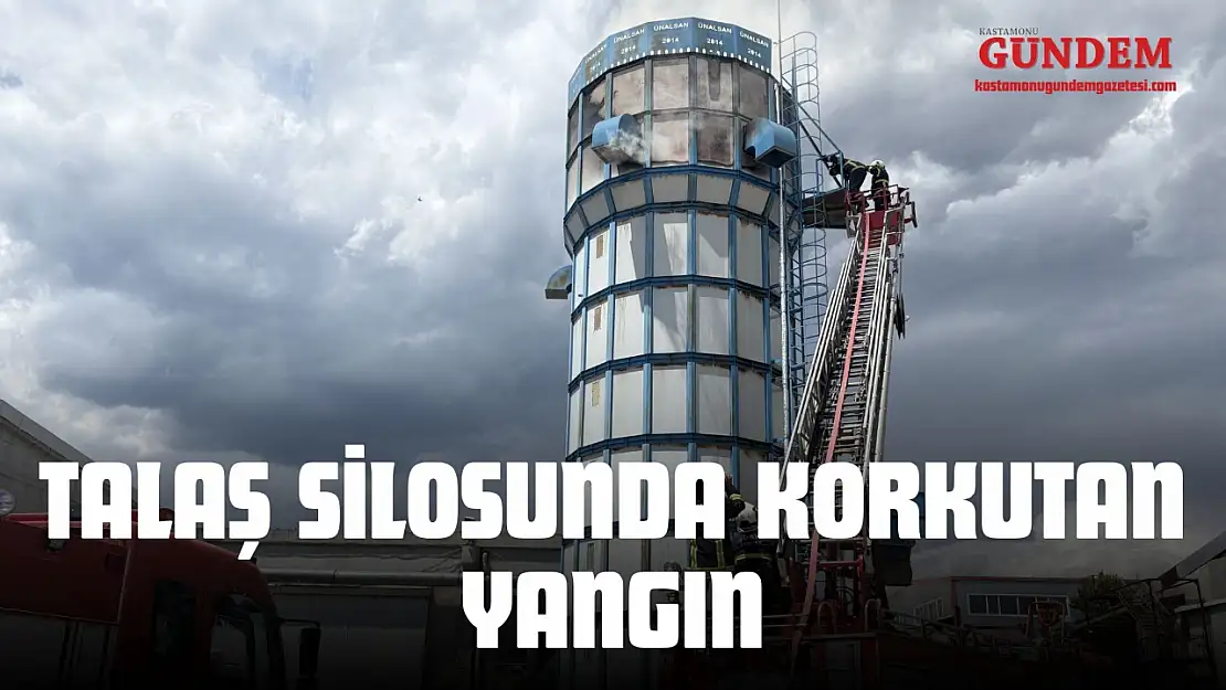 Talaş Silosunda Korkutan Yangın