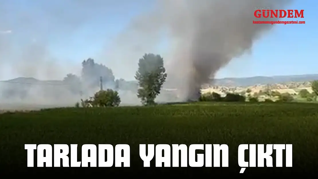Taşköprü'de Tarlada Yangın Çıktı!