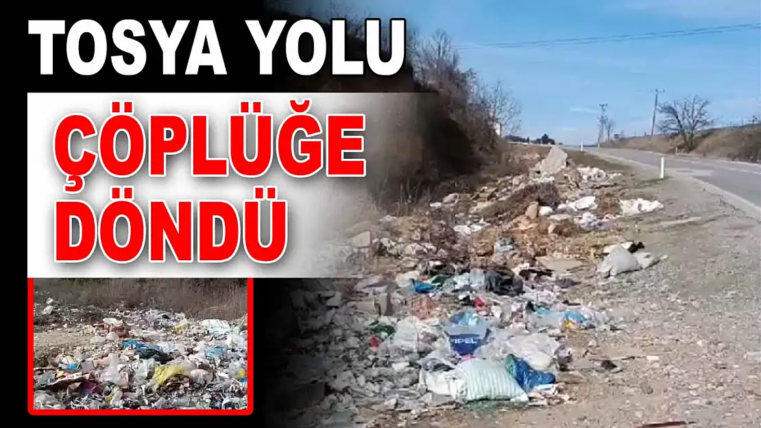 Tosya Yolu Çöplüğe Döndü