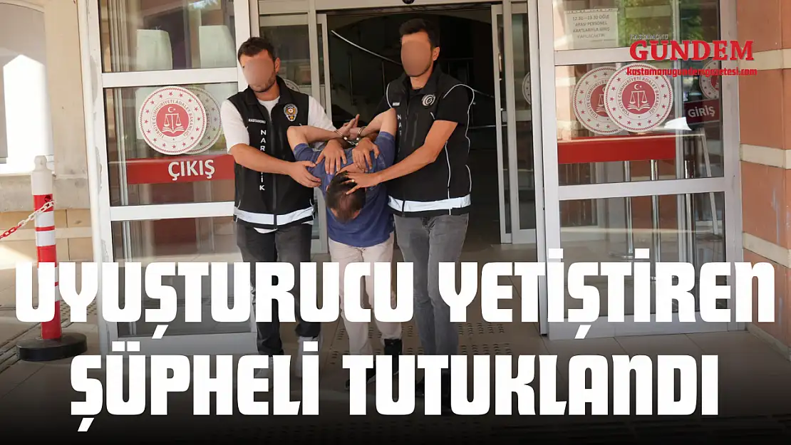 Uyuşturucu Yetiştiren Şüpheli Tutuklandı