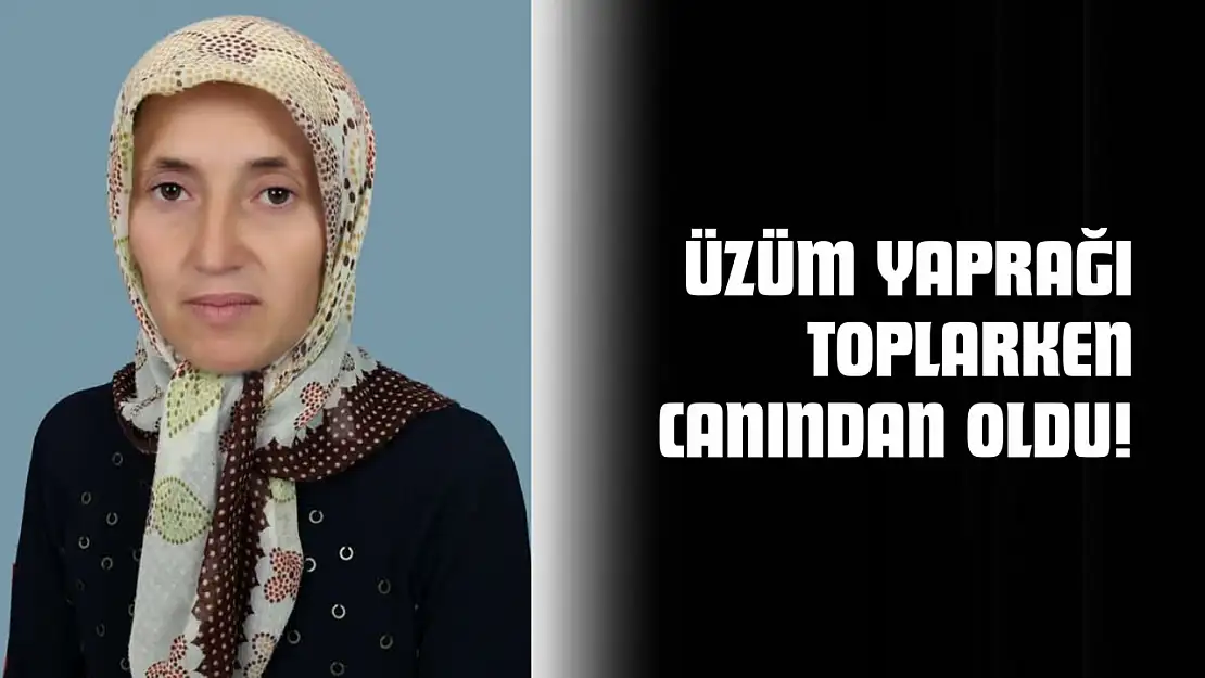 Üzüm Yaprağı Toplarken Canından Oldu!